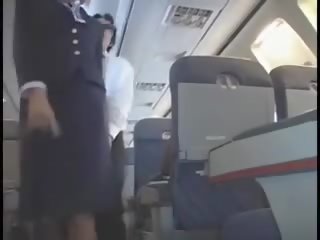 Americké stewardes fantázie