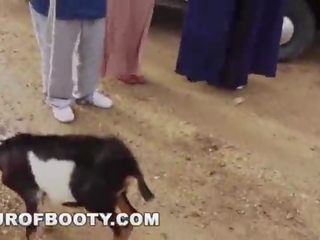 Tour de rabos - americana soldiers em o middle east negotiate xxx vídeo utilização goat como payment