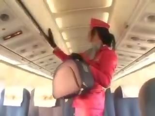 Desirable stewardeza sugand manhood înainte cunnilingus