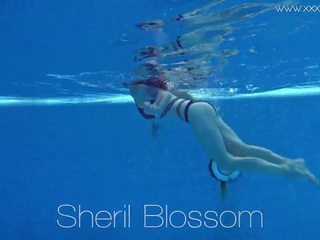 Sheril blossom utmärkt ryska underwater, högupplöst vuxen filma bd