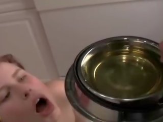 Ýüpe daňylan dahlia drink piss from a dog bowl